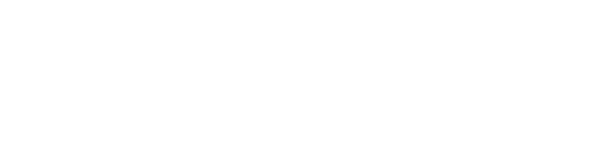 Trinon Logo